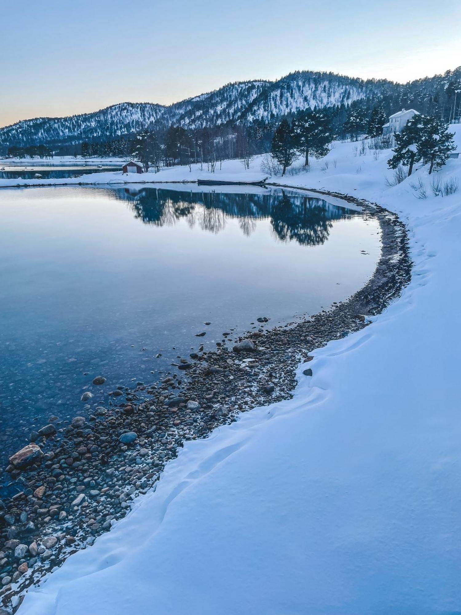 BrygghaugenNorwegian Wild别墅 外观 照片